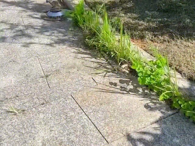 1740216558495903.gif 1-1.gif