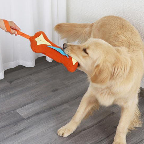 Bone Smell Toys