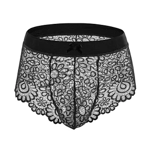 Men's Sexy Lace Bra Mesh Transparent Panties