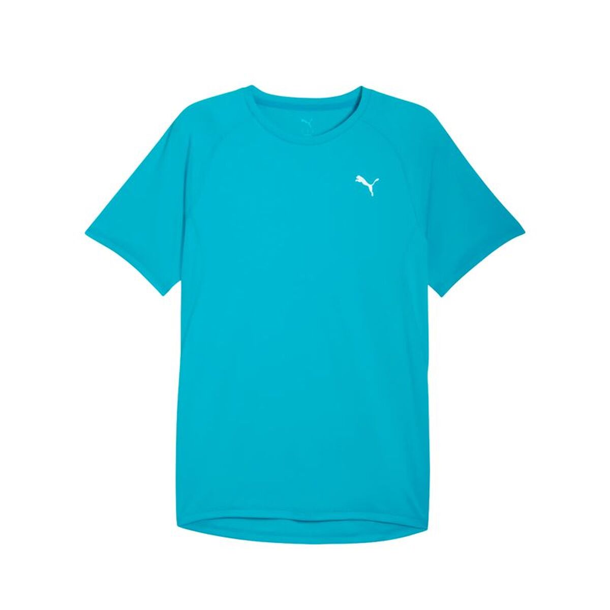 Men&rsquo;s Short Sleeve T-Shirt Puma M Run Velocity Speed Blue