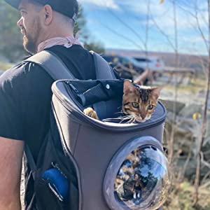 cat backpack