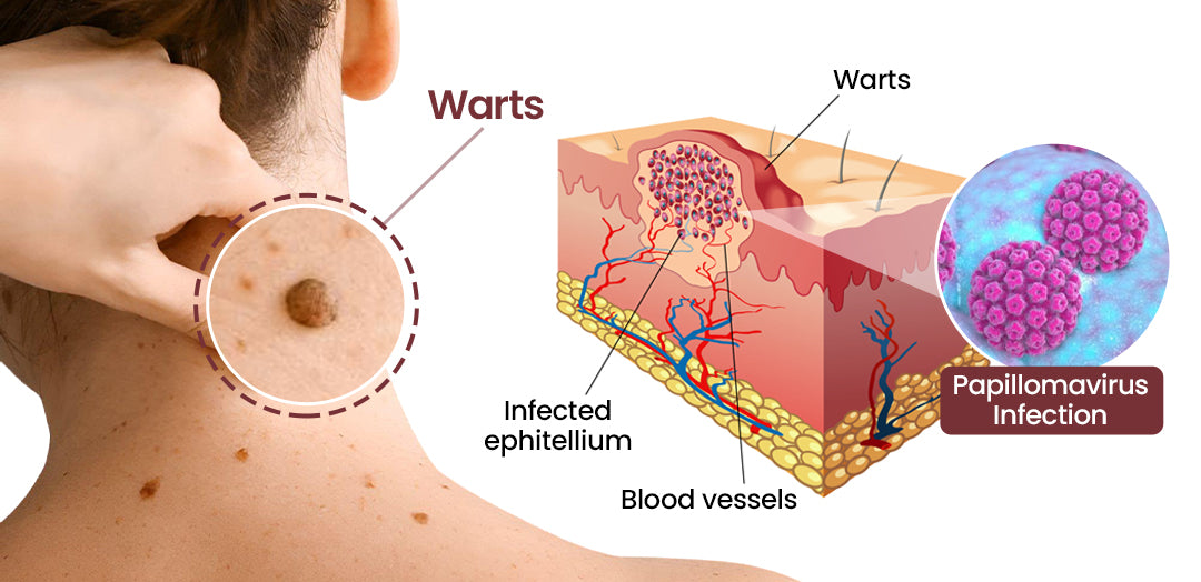 BQYOOM Dual-Action Renewal Cream