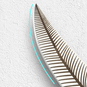 boning knife