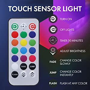 remote
