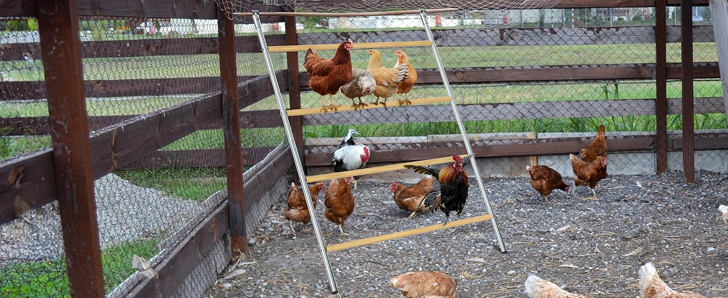 C32afc703b12f807f83cb7d347fb069e