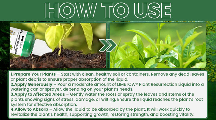 LIMETOW® Plant Resurrection Liquid image LIMETOW® Plant Resurrection Liquid