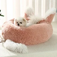 Pet Beds & Pads