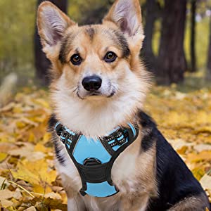 rabbitgoo Dog Harness, No-Pull Pet Harness with 2 Leash Clips, Adjustable Soft Padded Dog Vest