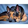 Diamond Painting -DIY Full Square Drill Lying Dog