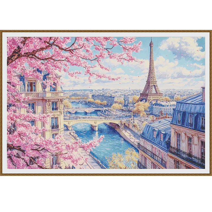 ZZ6665-Pink Dream Paris]