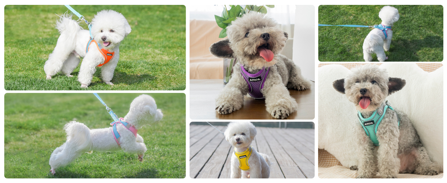 AIITLE Step in Dog Harness and Leash Set - Dog Vest Harness with Super Breathable Mesh
