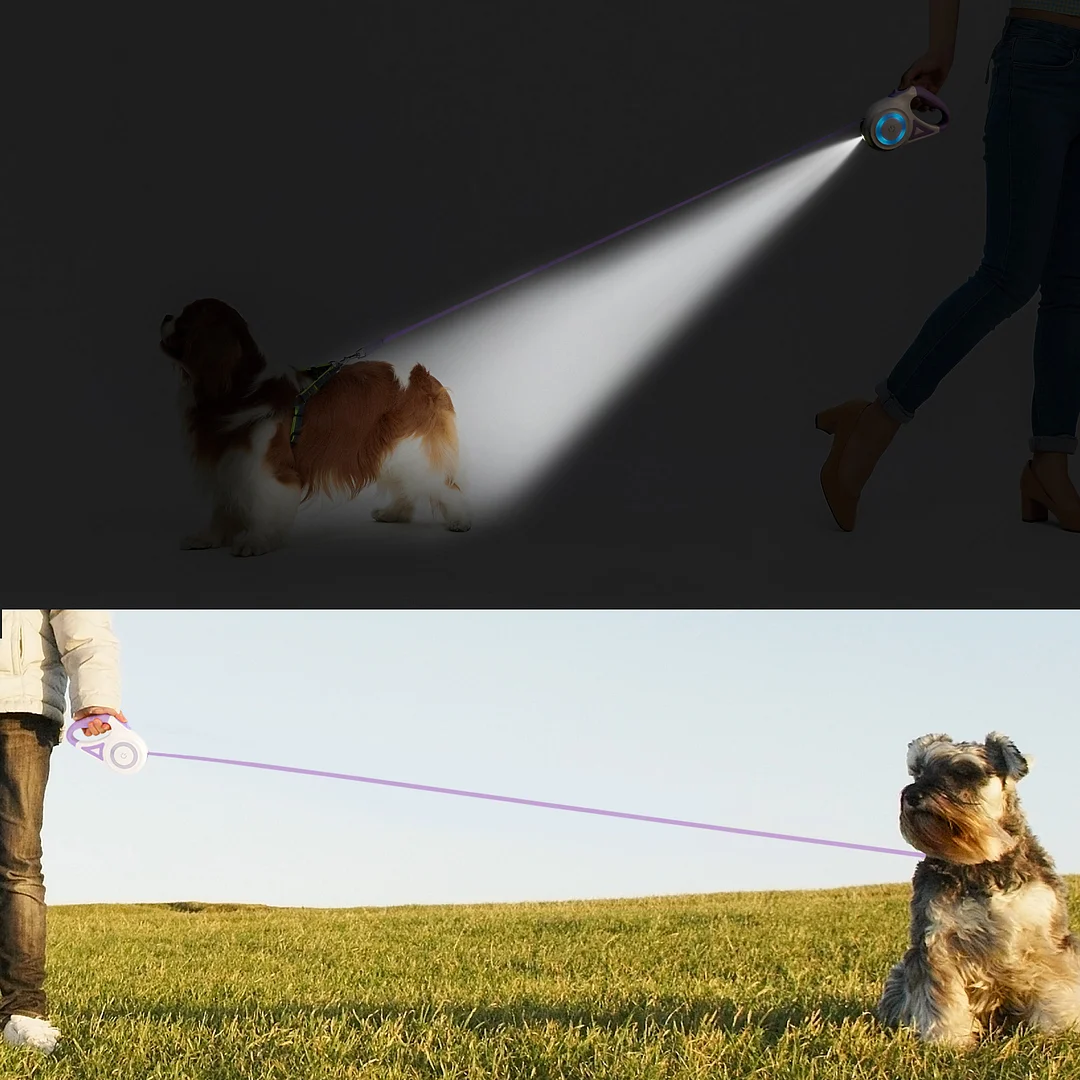 BEBANG Retractable Dog Leash, 16ft with Light, Anti-Slip Handle, One Button Brake & Lock Tangle-Free