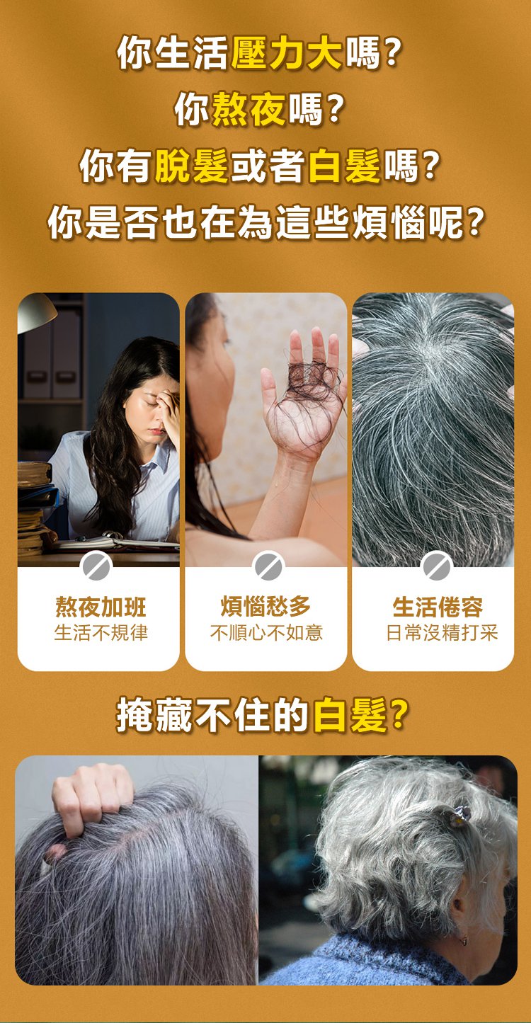 五黑芝麻丸