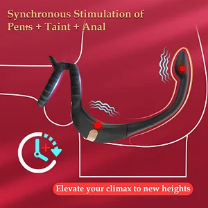 Remote Control Vibrating Cock Ring Taint Stimulator With Anal Sex Toys