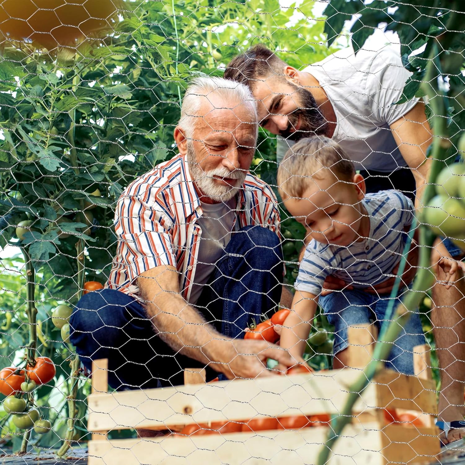 DIY Chicken Wire Fencing, Poultry Garden Fencing Barrier D0e55c2497022776cc77dd05cc035366