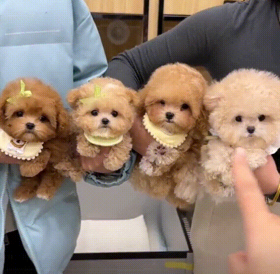 D332c82b8b38d99868a3e1b849357e41