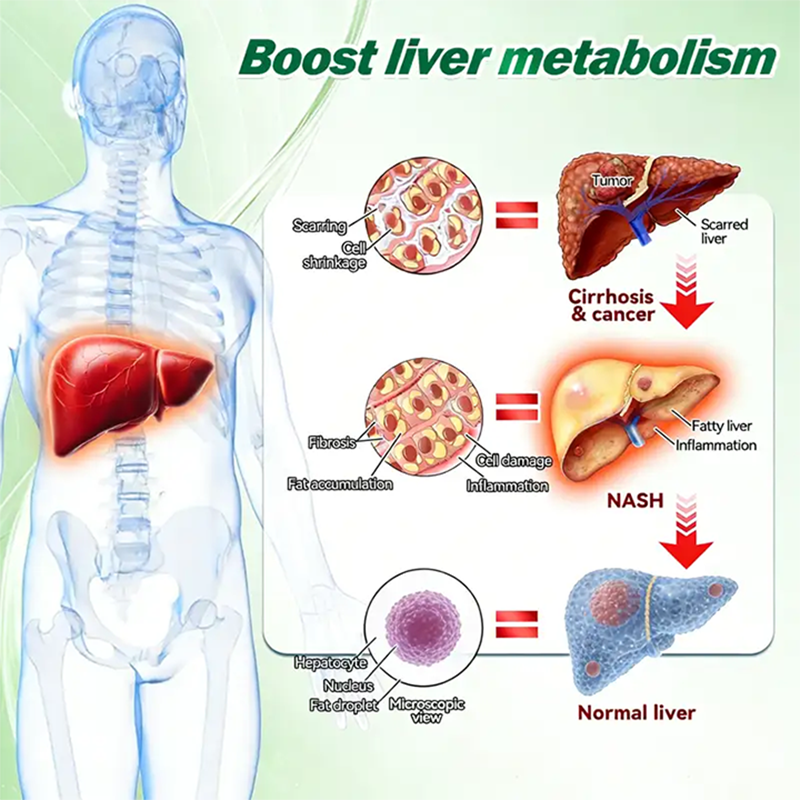 d43a4544f083624af7ad2aee3637c0dd