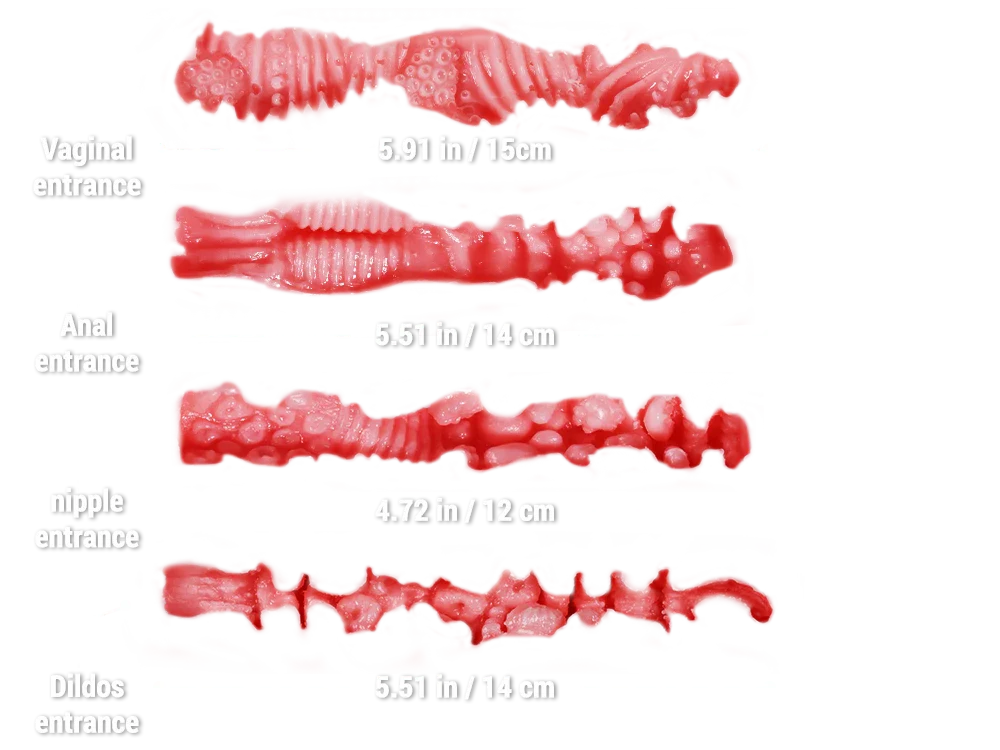 Hentai Futanari Sex Doll