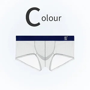 Men's Ultra Thin Ice Silk Transparent Mesh Sexy U-Convex Boxer Briefs