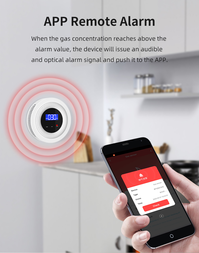 ap controlled gas sensor