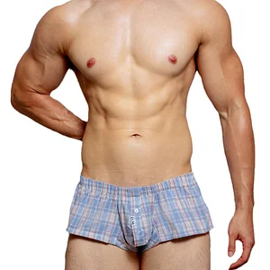 Low Rise Sexy Plaid Home Boxer Briefs