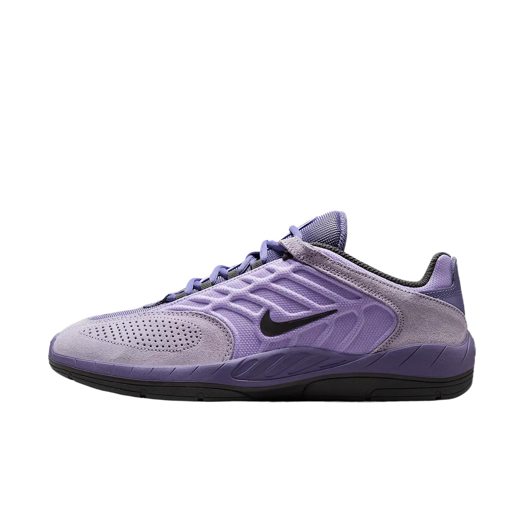 Nike Sb Vertebrae Low Top Casual Shoes Men's Purple