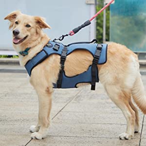 COODEO dog lift harness