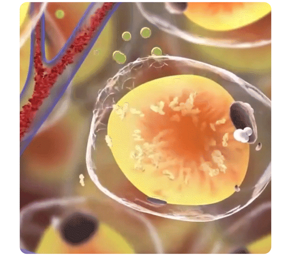 🧑‍⚕️NESLEMY™ Ultrasonic Fat Blasting and Detoxing Wristband B