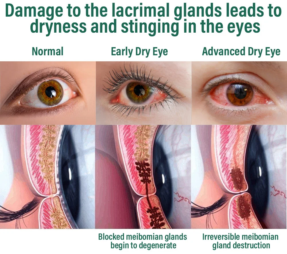 e0587a2aa7e7b2069ddb574ac1ec7264