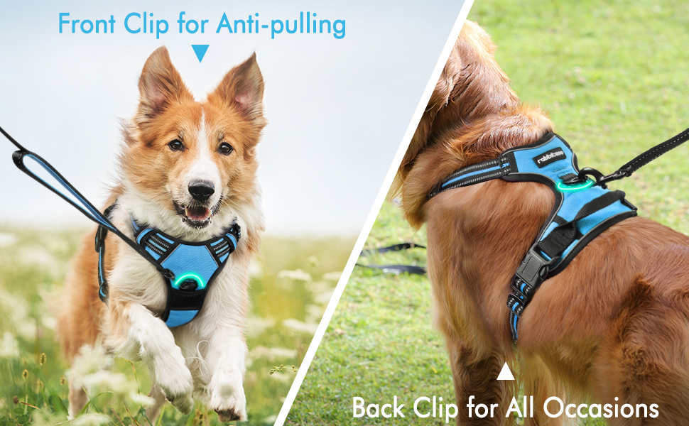 rabbitgoo Dog Harness, No-Pull Pet Harness with 2 Leash Clips, Adjustable Soft Padded Dog Vest