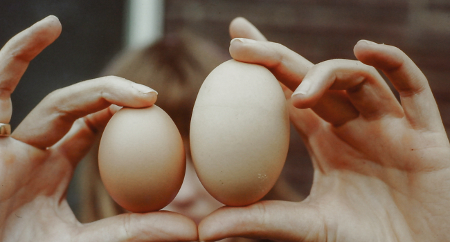 E5a2992c45dcbefa2d207a61e8b088a8