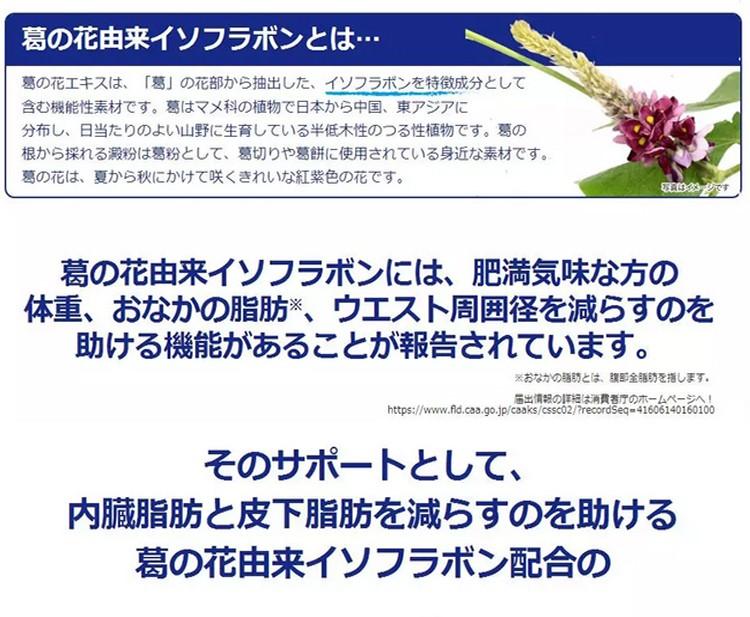 onaka燃脂丸