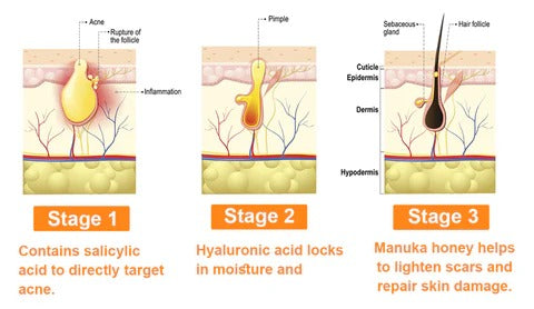BBOJI™ 7-Day Multi-Effect All-in-One Skincare Cream image BBOJI™ 7-Day Multi-Effect All-in-One Skincare Cream