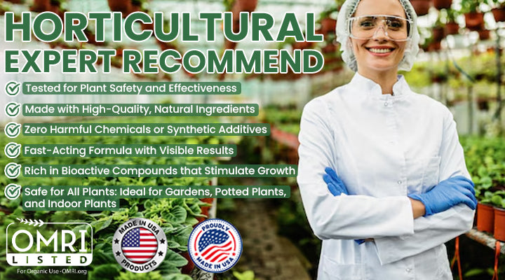 LIMETOW® Plant Resurrection Liquid image LIMETOW® Plant Resurrection Liquid