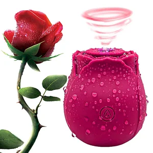 Rose Toy Sex Kit For Couple