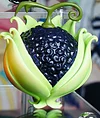 Small Scale Devil Fruits - ONE PIECE Resin Statue - Cheng Studios