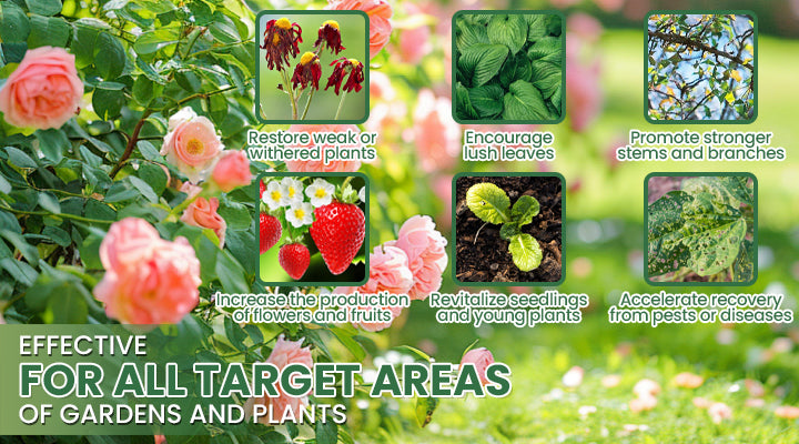 LIMETOW® Plant Resurrection Liquid image LIMETOW® Plant Resurrection Liquid