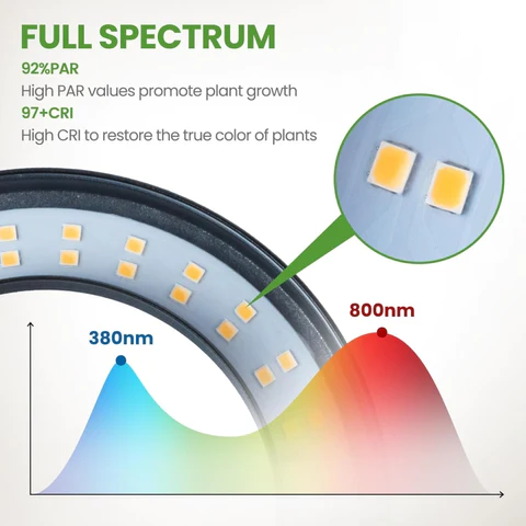 Grow Lights for Indoor Plants