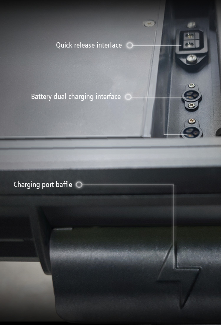 Fast Charging with Dual Interface Support