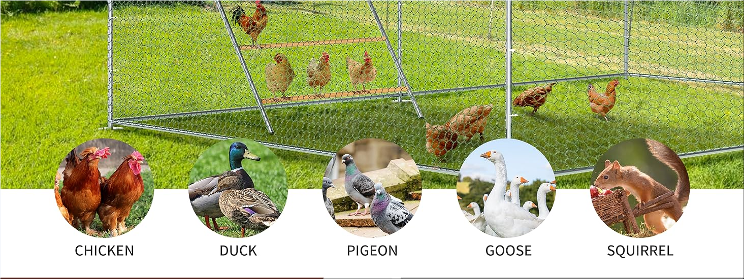 F25c574842fd8e44365b423b046532d1