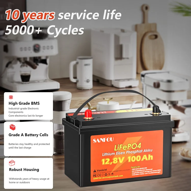SANFOU 12.8V 100Ah LiFePO4 Battery, Built In 100A BMS