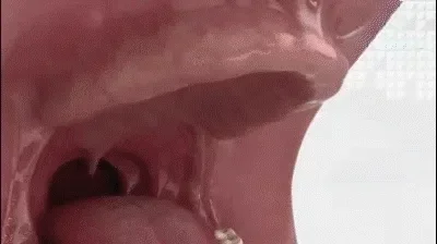 f420088c3625ee6686ac19b1d6ef3b28