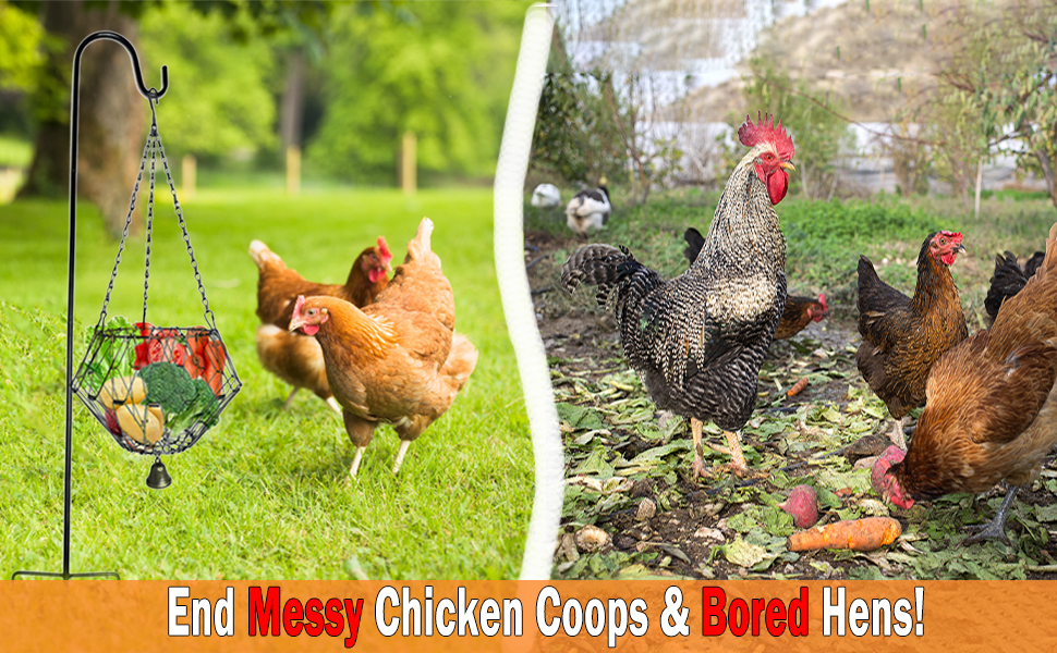 F4a6c4642b0e1b38634c2a26d3b08a96