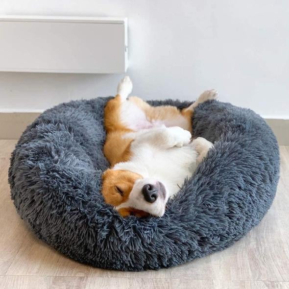 Comfy Calming Dog/Cat Bed