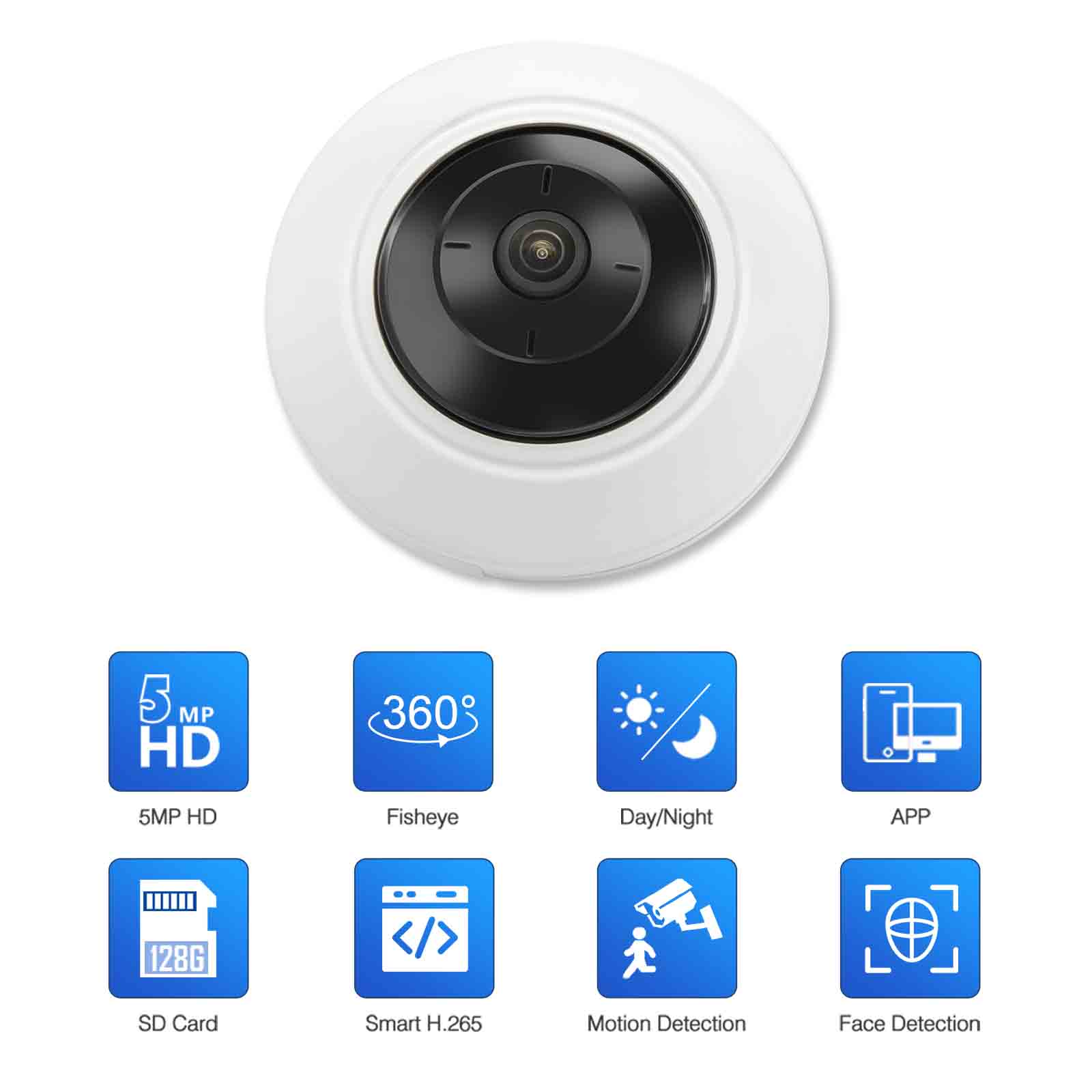 DT9555 MP Fisheye IP Camera