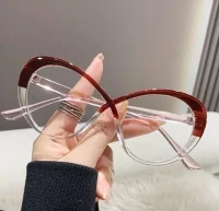 Optical Glasses