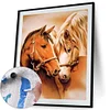 Painting By Numbers - DIY Loving Horses(40*50 CM)