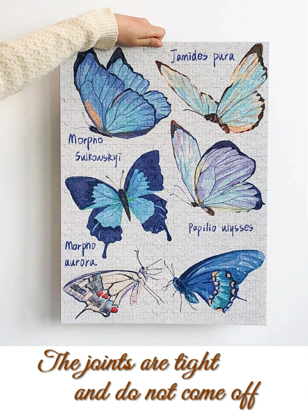 Blue Butterfly Jigsaw Puzzle