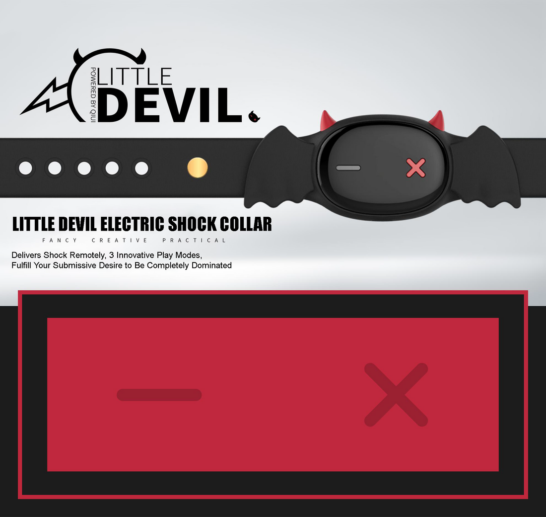 Little Devil Electric Shock Collar